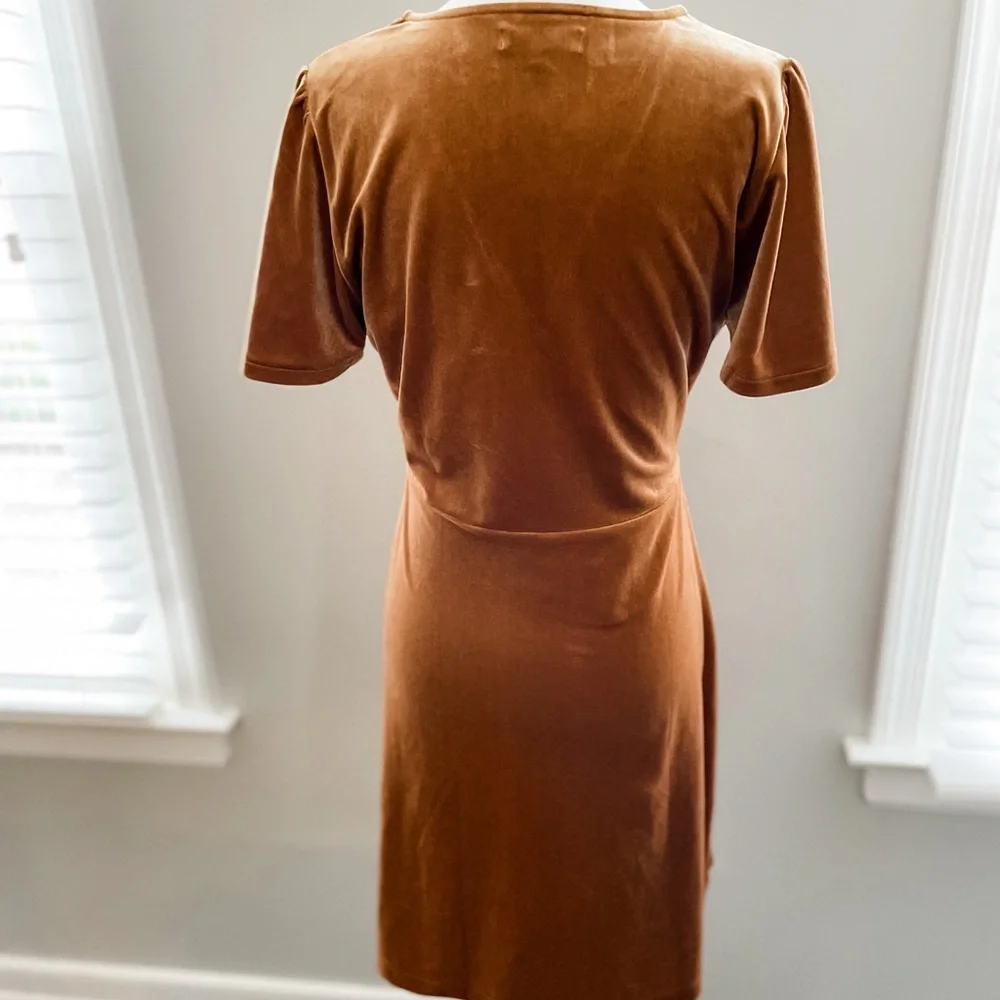 SOLD Madewell Velvet V-neck Flutter Sleeve Dress - Picture 10 of 13